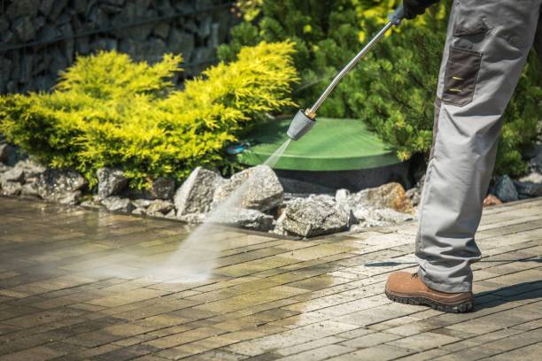 Best Fence Cleaning  in Bay Hill, FL