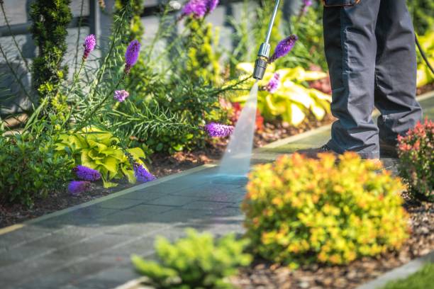 Best Sidewalk and Walkway Cleaning  in Bay Hill, FL