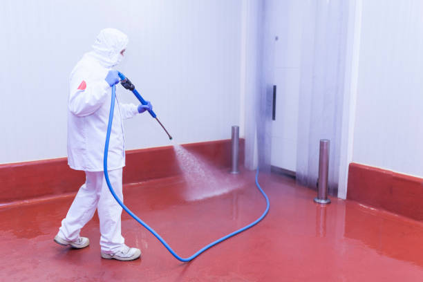 Best Playground Equipment Cleaning  in Bay Hill, FL