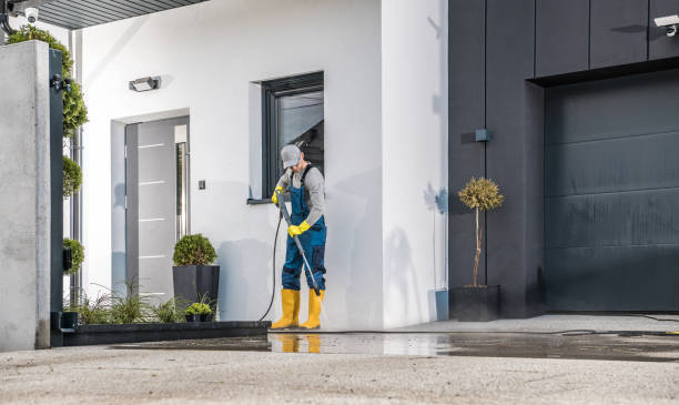 Best Paint Preparation  in Bay Hill, FL